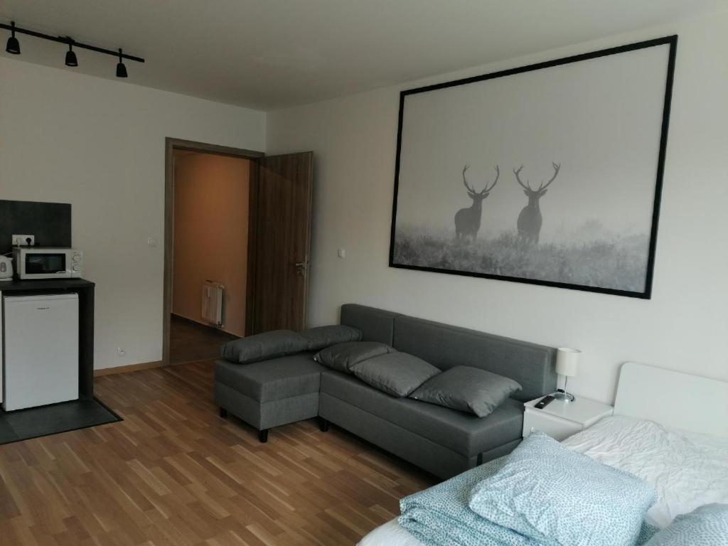 Brand New Two #23 With Free Parking In The Center * Прага