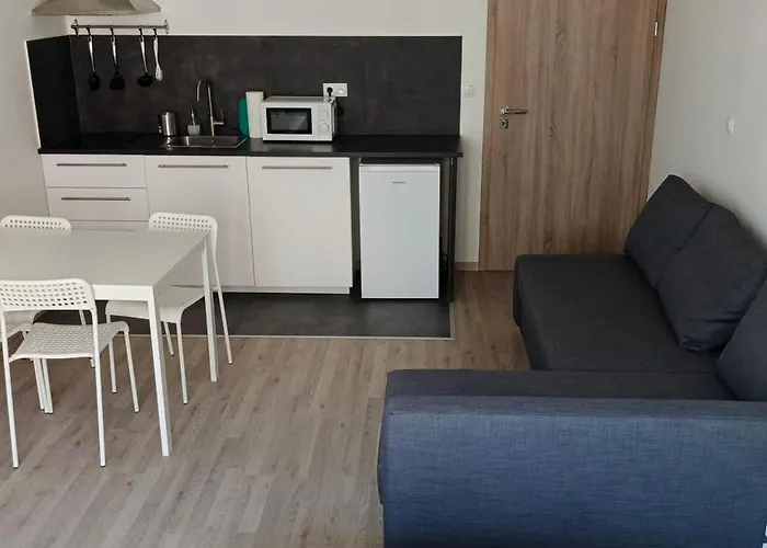 Brand New Two Room Apartment #23 With Free Parking In The City Center
