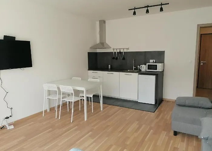 Brand New Two Room Apartment #23 With Free Parking In The City Center