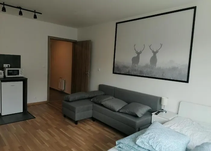 Brand New Two Room Apartment #23 With Free Parking In The City Center